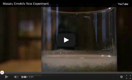 Click to view Masaru Emoto video